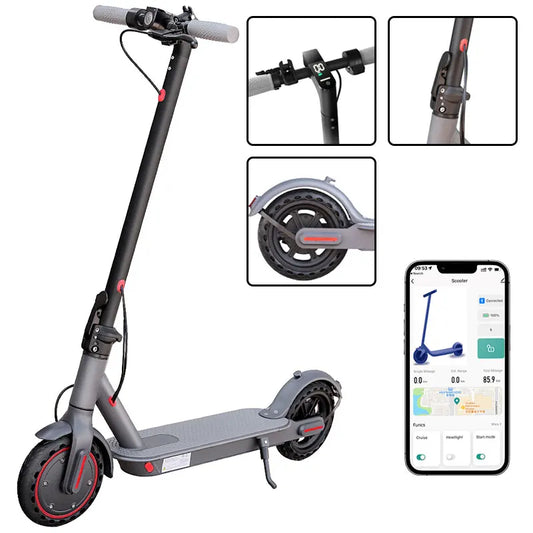 FlexRide Electric Scooter